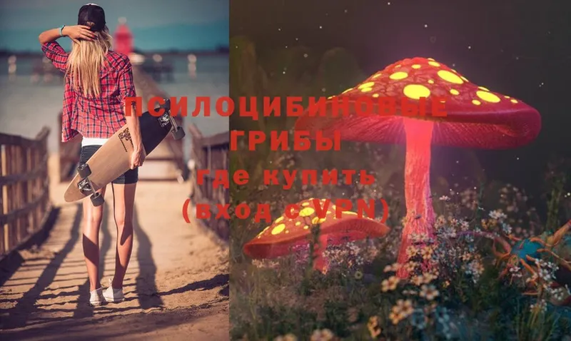 Псилоцибиновые грибы Magic Shrooms  это состав  Геленджик 